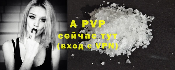 ECSTASY Лабытнанги