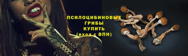 тгк Ладушкин