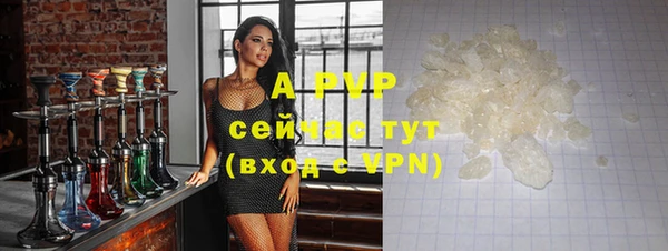 тгк Ладушкин