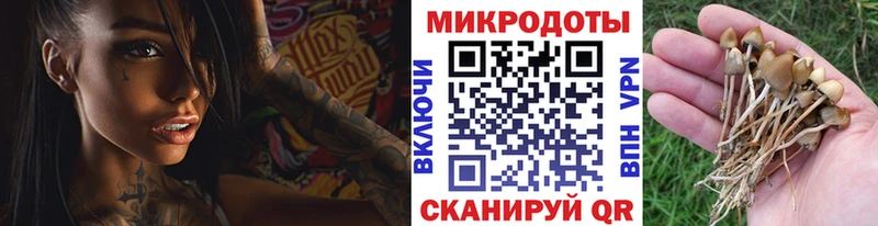 сколько стоит  Миллерово  Галлюциногенные грибы GOLDEN TEACHER 