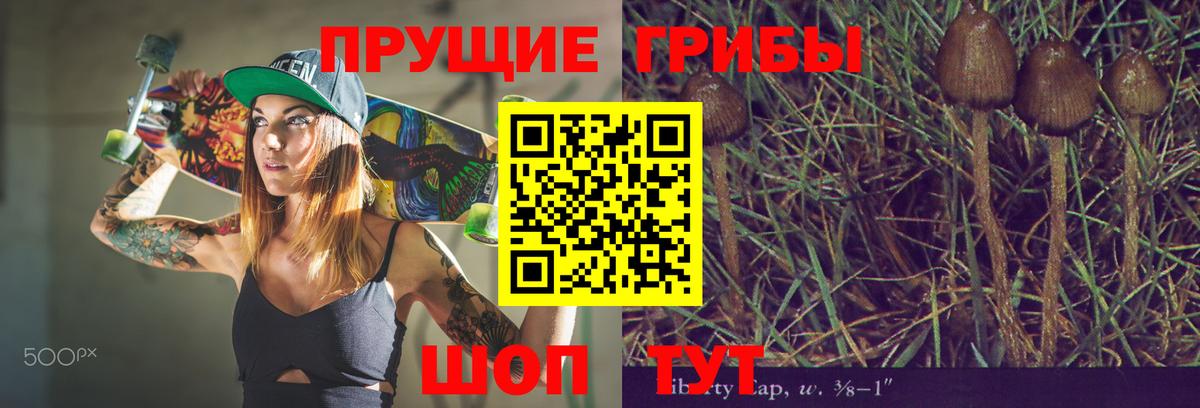 дарнет шоп  Вход с VPN  Псилоцибиновые грибы GOLDEN TEACHER  Миллерово  Псилоцибиновые грибы Magic Shrooms 