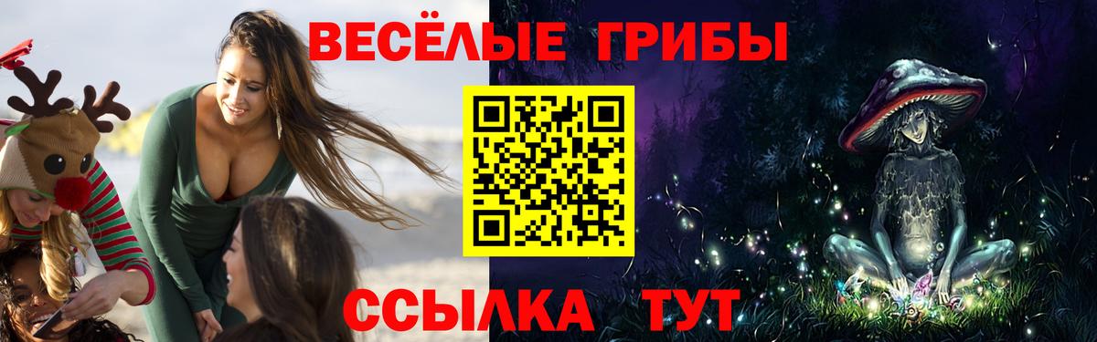 купить наркотики сайты  Псилоцибиновые грибы Psilocybe  Миллерово  Псилоцибиновые грибы Magic Shrooms 